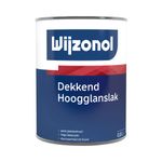 Wijzonol Dekkend Hoogglanslak