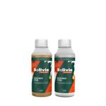 Bolivia Houtrotstop 2K Set - 500 ml