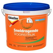 Alabastine Voorstrijk Sneldrogend Transparant