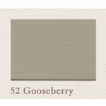 Painting the Past Samplepotje Outdoor 60 ml - 52 Gooseberry