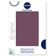 Histor ColorTester Kleurstaal – 13-07 Enchanting Eggplant