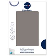 Histor ColorTester Kleurstaal – 1007-6 Cool Charcoal
