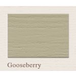 Painting the Past Outdoor 1 Liter - 52 Gooseberry