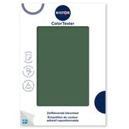 Histor ColorTester Kleurstaal – 13-31 Still Searching