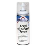 Südwest Acryl All-Grund Wit - Spuitbus