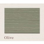 Painting the Past Outdoor 1 Liter - S66 Olive 