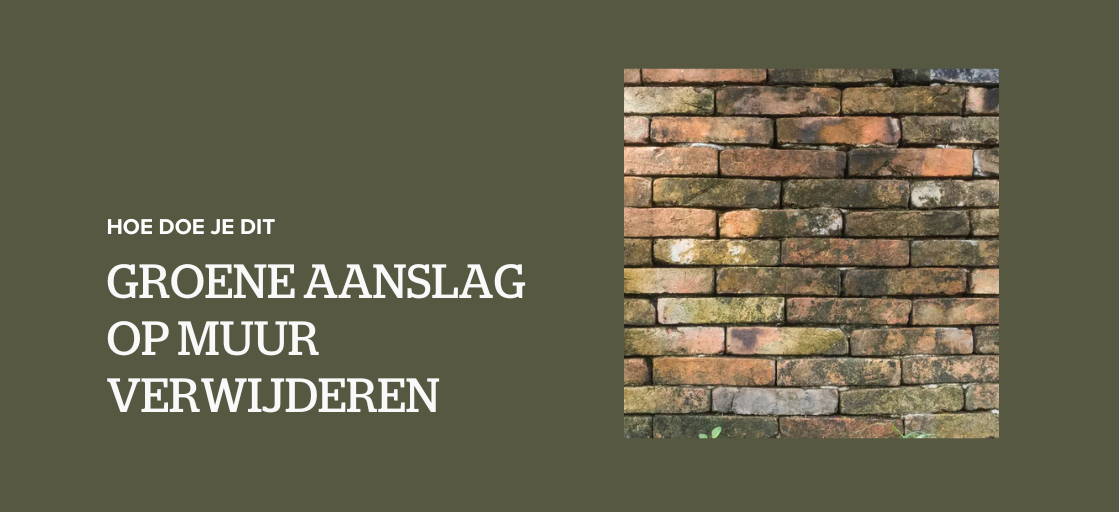 Groene aanslag op muur