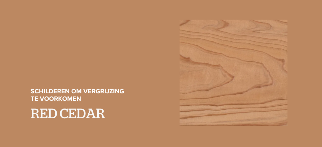 Red Cedar