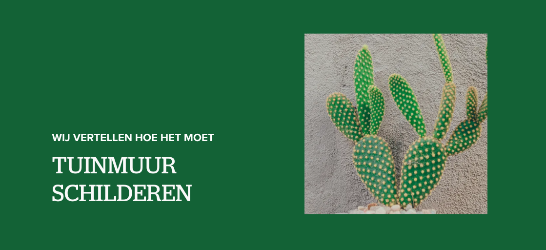 Tuinmuur schilderen? Wij vertellen hoe het moet