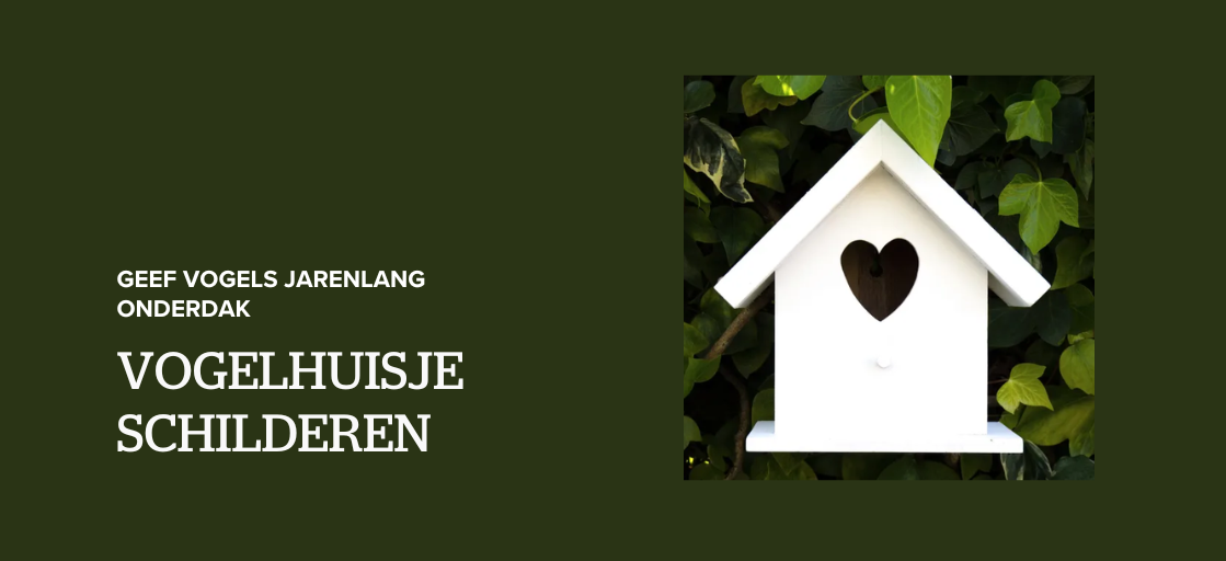 Vogelhuisje schilderen